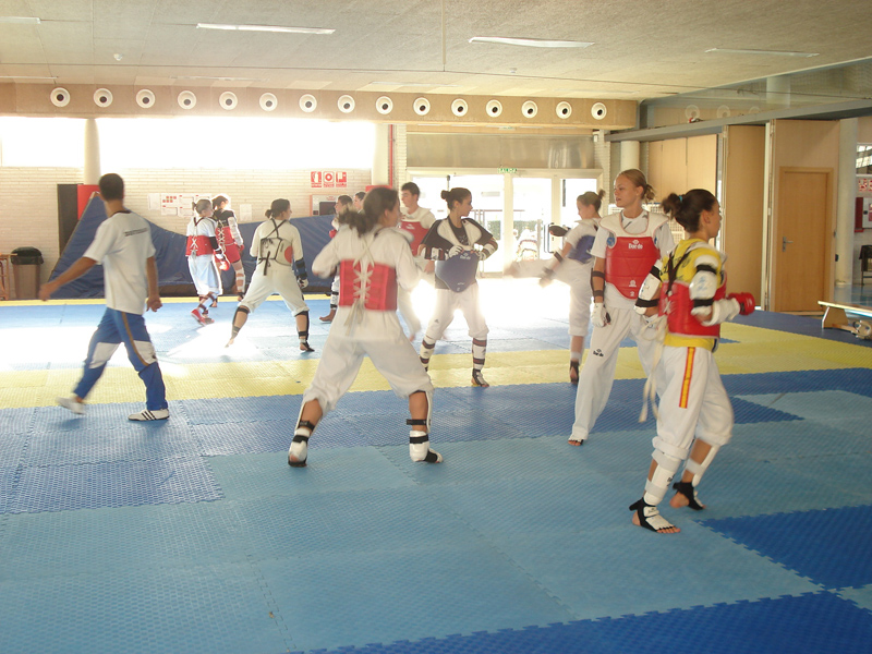 STAGE DE COMBATE FEDERACI&Oacute;N NAVARRA DE  TAEKWONDO
